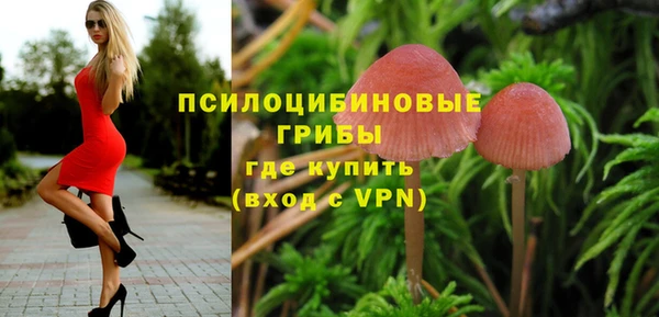 ГАЛЛЮЦИНОГЕННЫЕ ГРИБЫ Алзамай